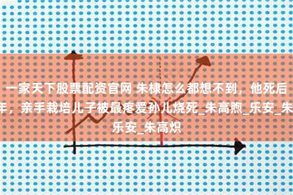 一家天下股票配资官网 朱棣怎么都想不到，他死后才2年，亲手栽培儿子被最疼爱孙儿烧死_朱高煦_乐安_朱高炽