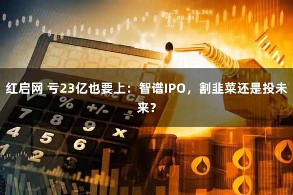 红启网 亏23亿也要上：智谱IPO，割韭菜还是投未来？