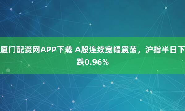 厦门配资网APP下载 A股连续宽幅震荡，沪指半日下跌0.96%